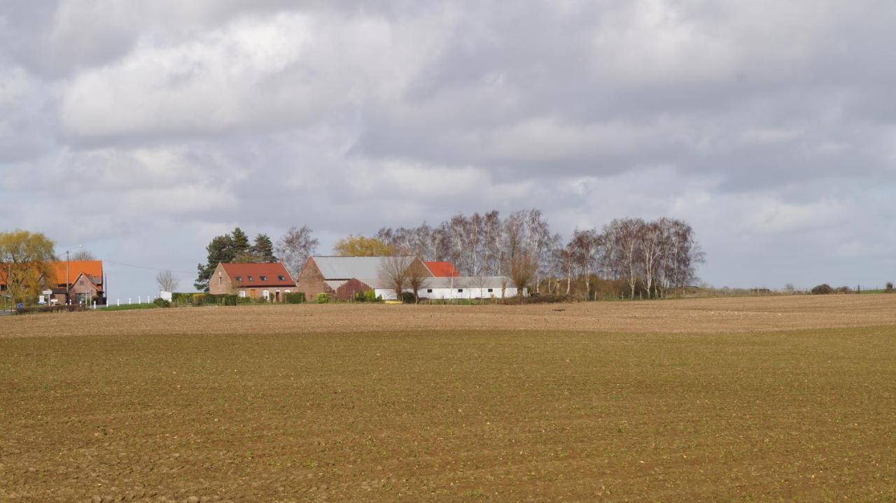 Sur La Route Des Monts Lägenhet Bailleul  Exteriör bild